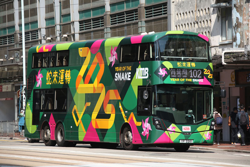 2025 - The Year of the Snake